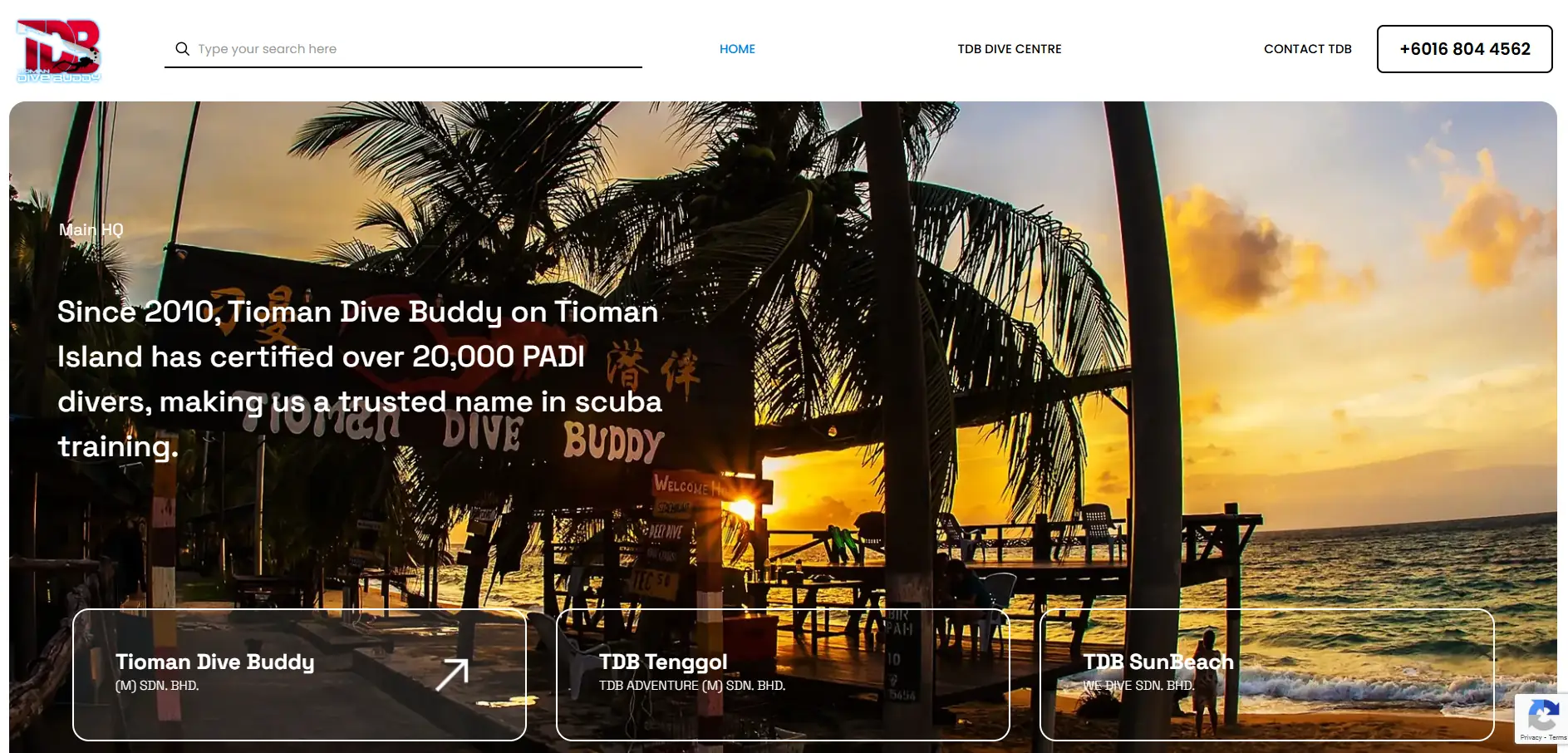 TDB Group Website Design