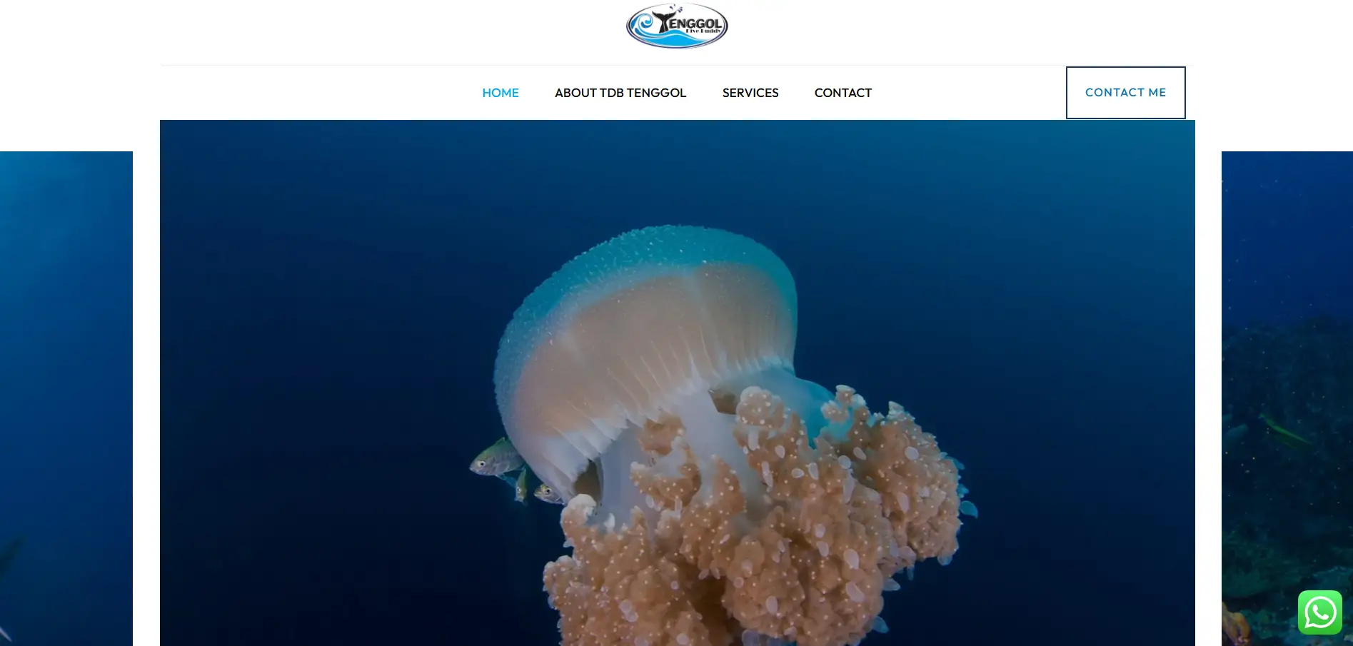 Tenggol Dive Buddy Website Design