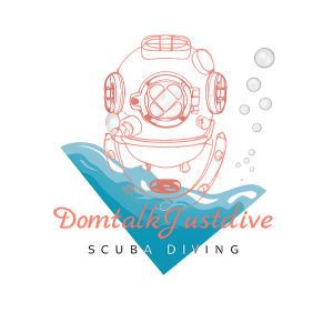 Dom Talk Just Dive Logo