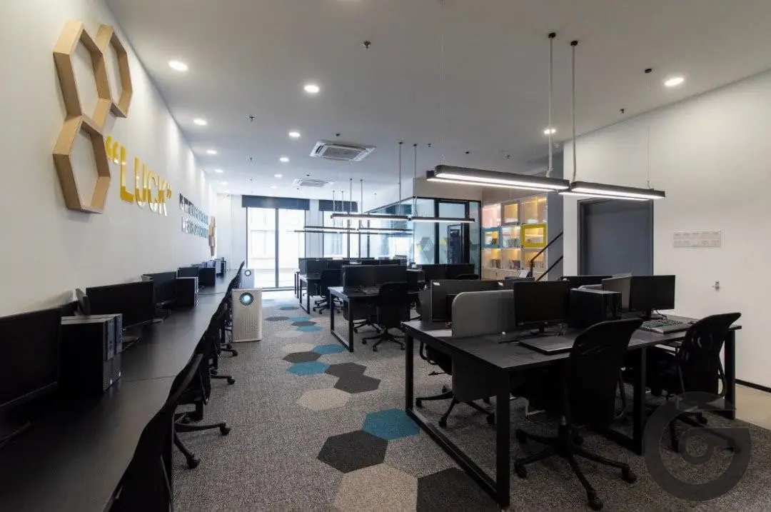 Tech Clone Office Renovation - Main View
