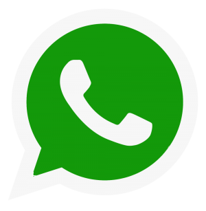 WhatsApp Blast
