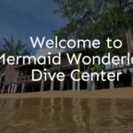 Website Design for Mermaid Wonderland Dive Center