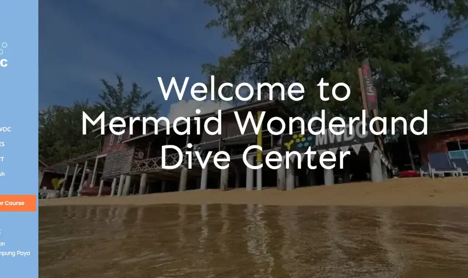 Website Design for Mermaid Wonderland Dive Center