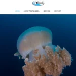 Website Development for Tenggol Dive Buddy-2