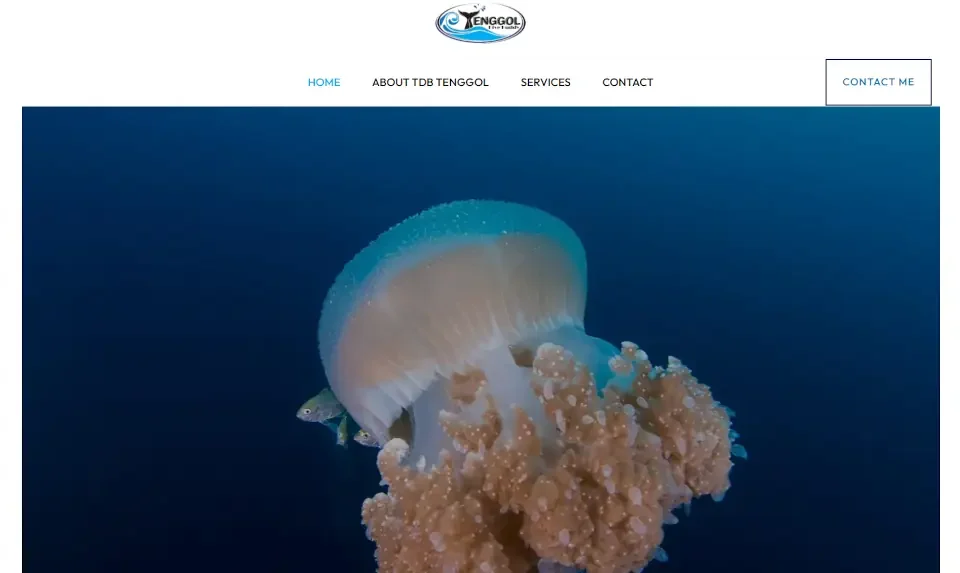 Website Development for Tenggol Dive Buddy-2