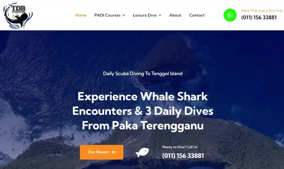 Website Design for TDB Paka