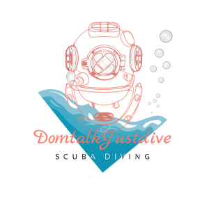 Dom Talk Just Dive Logo