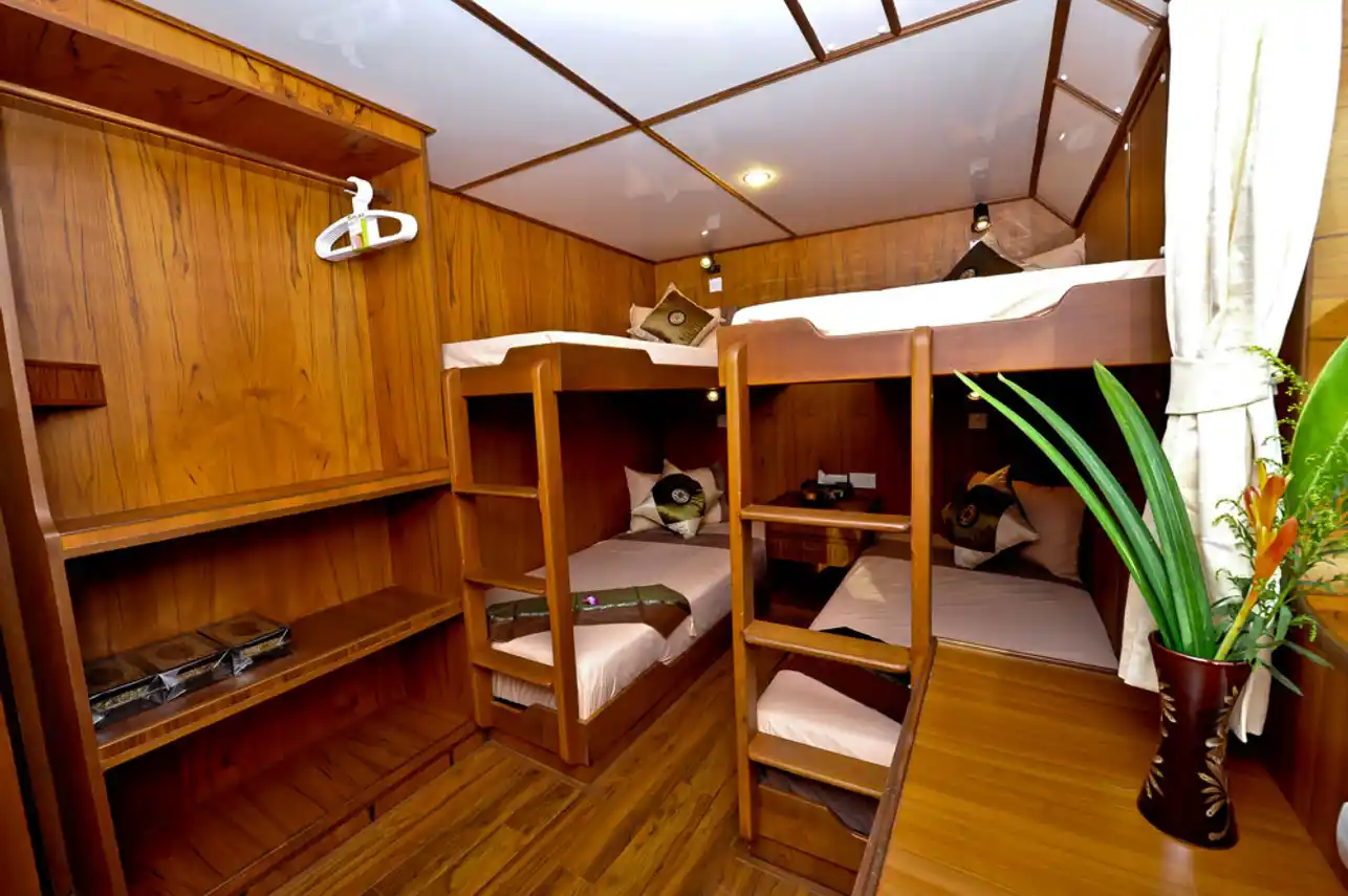 Quad Room